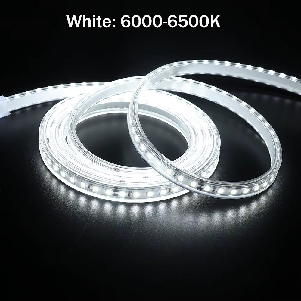 SMD2835 LED Strip Light 12V/24V 120LEDs/M IP67 Waterproof Flexible Tape (White/Warm/Natural 4000K)