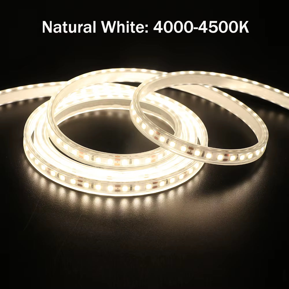 SMD2835 LED Strip Light 12V/24V 120LEDs/M IP67 Waterproof Flexible Tape (White/Warm/Natural 4000K)