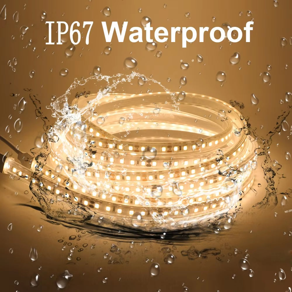 SMD2835 LED Strip Light 12V/24V 120LEDs/M IP67 Waterproof Flexible Tape (White/Warm/Natural 4000K)